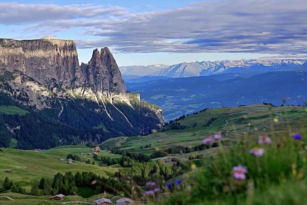 Paradiso Pure.Living Vegan Hotel Alpe Di Siusi Exterior photo